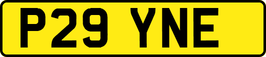P29YNE