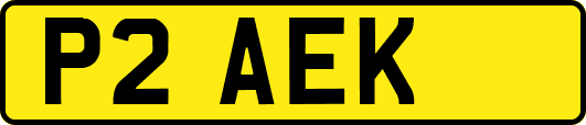 P2AEK