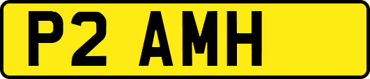 P2AMH