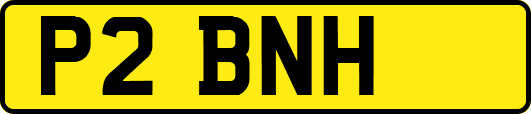 P2BNH