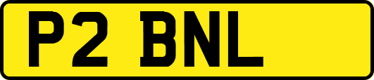 P2BNL