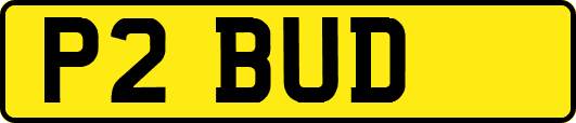 P2BUD
