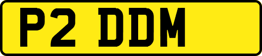 P2DDM
