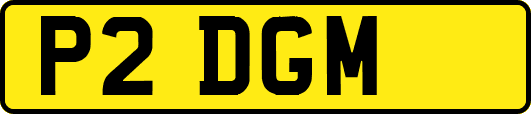 P2DGM