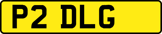 P2DLG