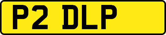 P2DLP