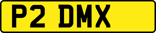 P2DMX