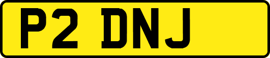 P2DNJ