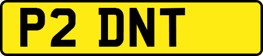 P2DNT