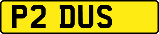 P2DUS