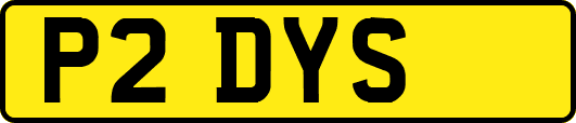 P2DYS