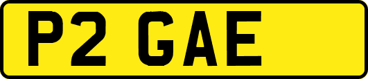 P2GAE