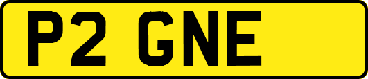 P2GNE