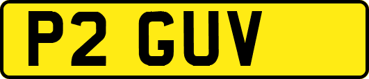 P2GUV