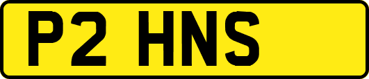 P2HNS