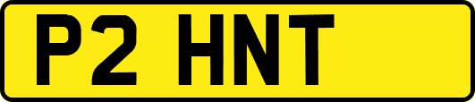 P2HNT