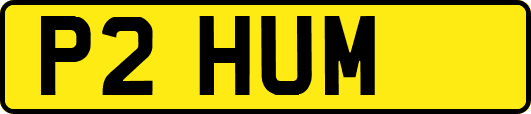 P2HUM