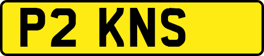 P2KNS