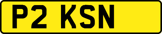 P2KSN