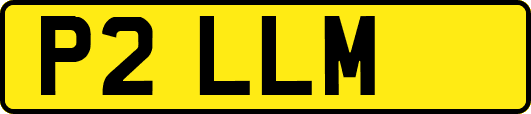 P2LLM