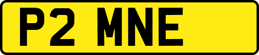 P2MNE