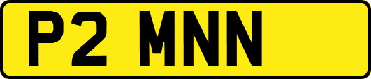 P2MNN