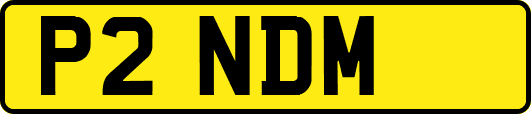 P2NDM
