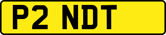 P2NDT