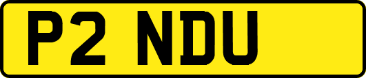 P2NDU