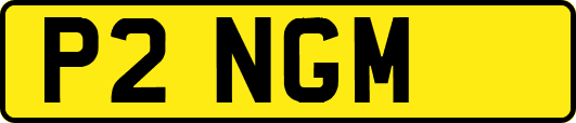 P2NGM