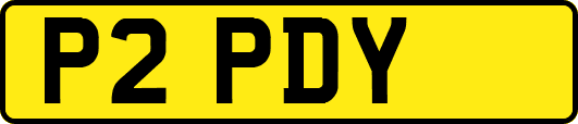 P2PDY