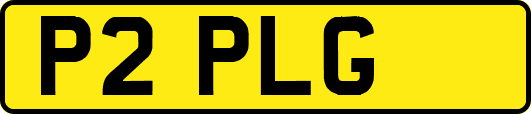 P2PLG