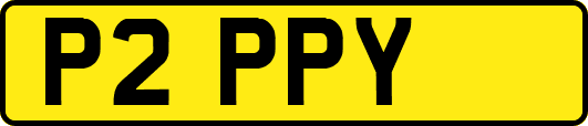 P2PPY