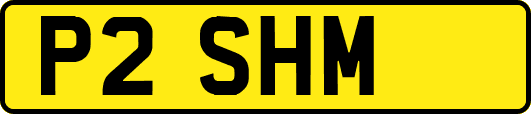 P2SHM