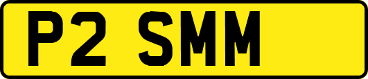 P2SMM