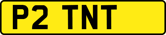 P2TNT