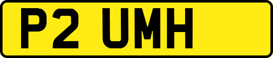 P2UMH