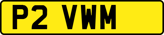 P2VWM
