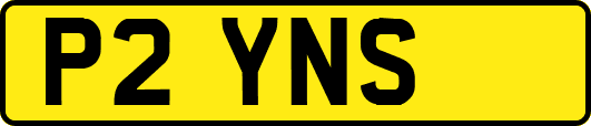 P2YNS