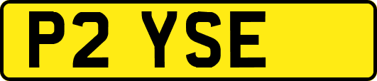 P2YSE