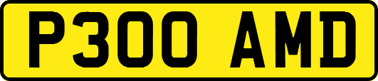 P300AMD