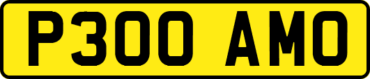 P300AMO