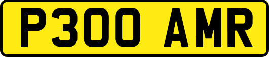 P300AMR
