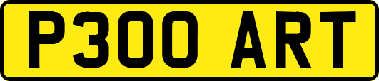 P300ART