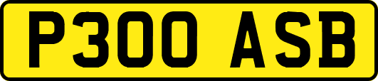P300ASB
