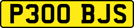 P300BJS