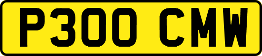 P300CMW