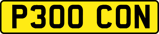P300CON