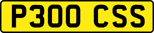 P300CSS