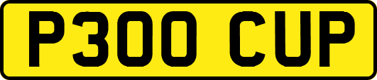 P300CUP